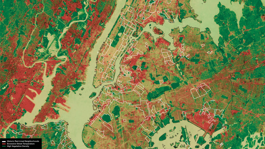 LiDAR map of NYC tree cover