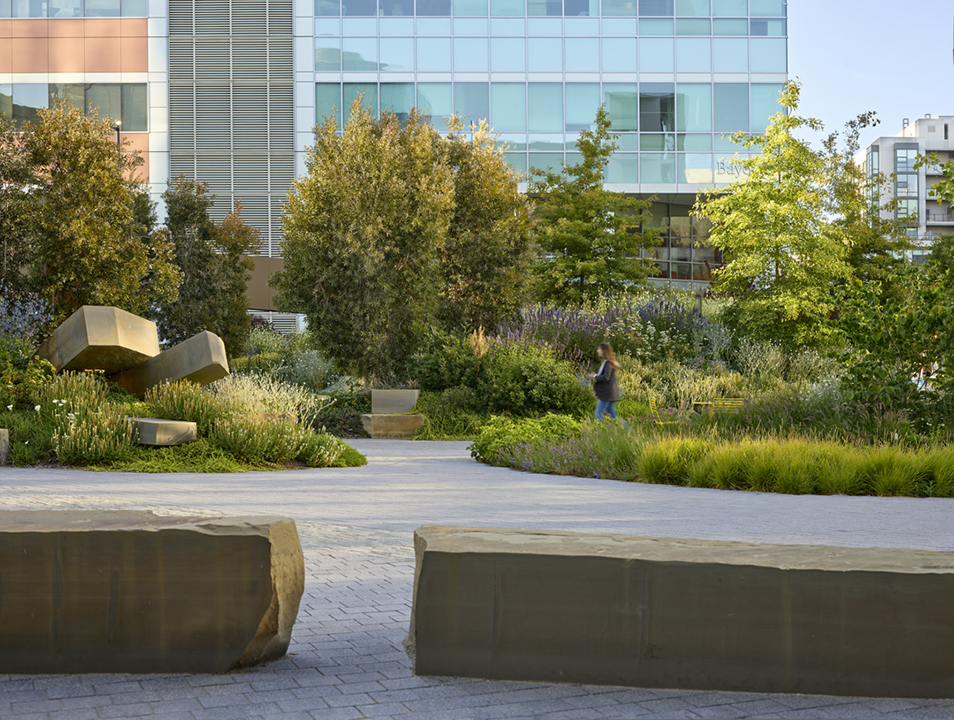 Large sandstone pieces serve as benches and planters throughout the garden