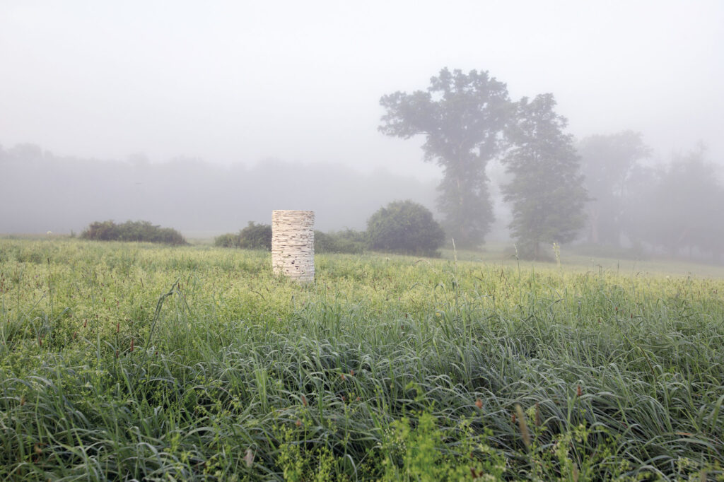 a misty prairie landscape with a tower designed by Present Practice at the center