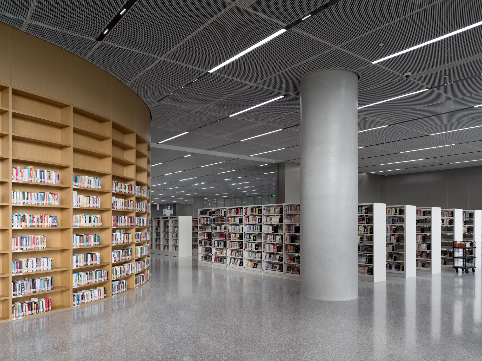 A photograph of bookshelves at the Shanghai Library East