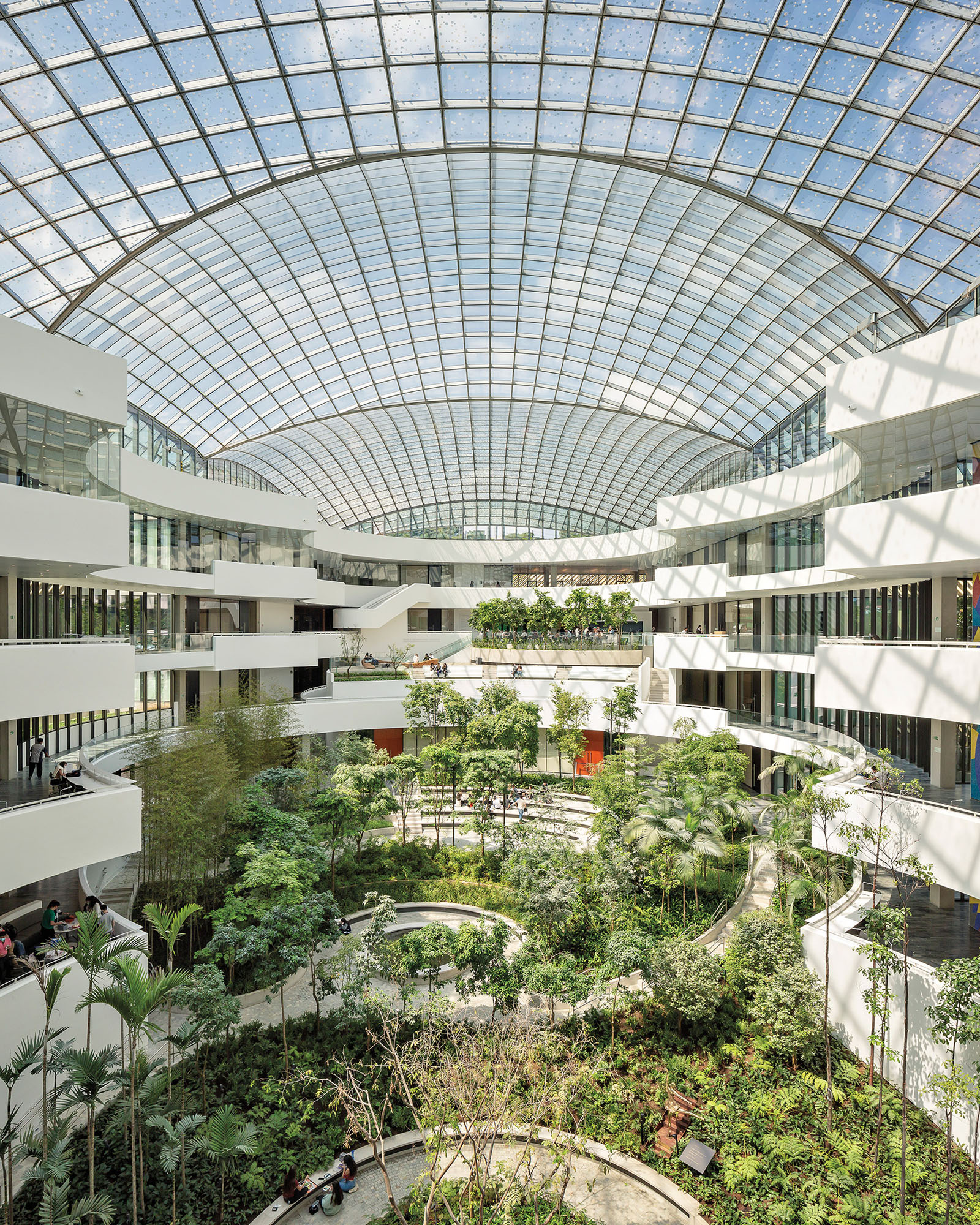 A photograph of an atrium with a massive skylight and abundant plantings on the ground level