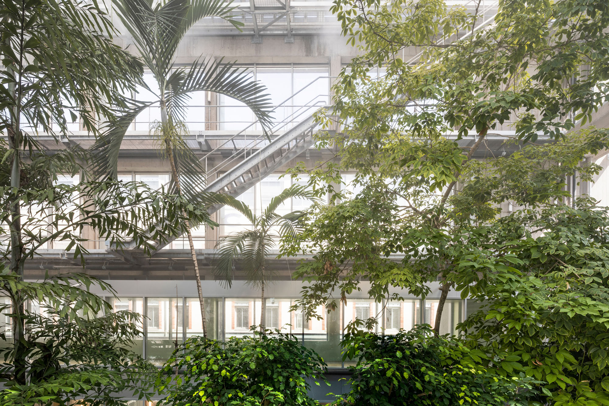 a photograph of a greenhouse that occupies the entrance to the michelin headquarters