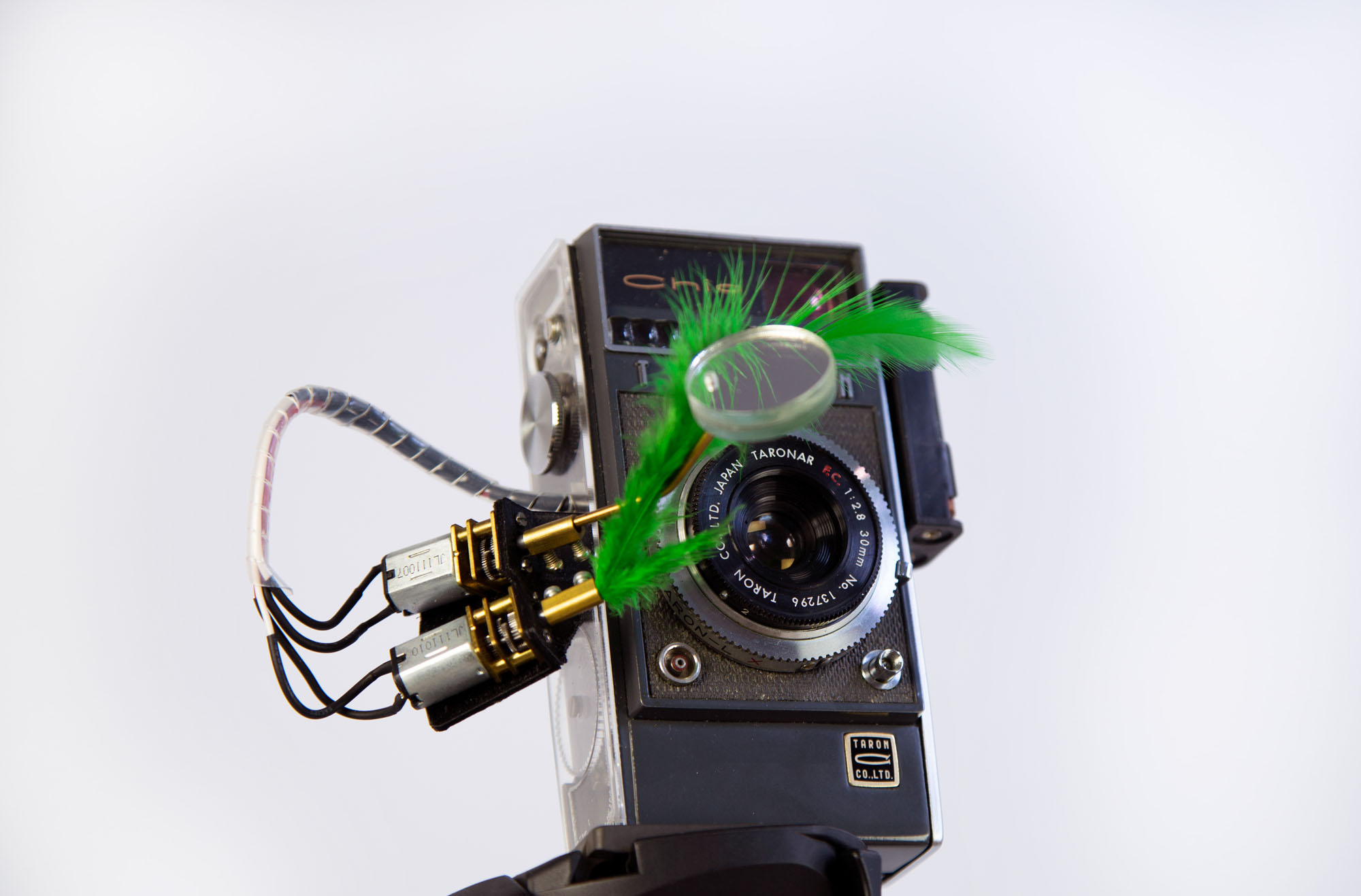an image of a camera with green feathers sticking out of it