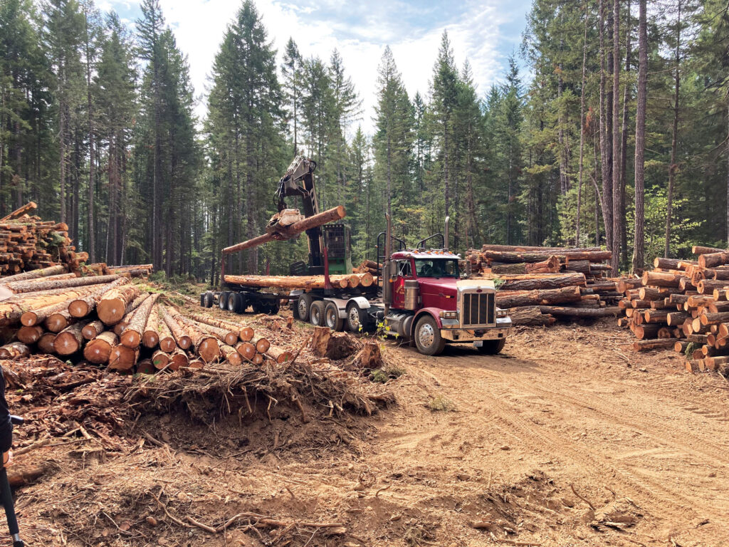Timber truck being loaded by crane at a logging site